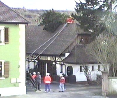 Gasthaus Tanne