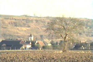 Niederrimsingen vor dem Tuniberg